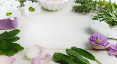 The Power of Herbs in Organic Skincare